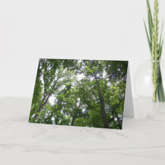 Canopy Thank You Card