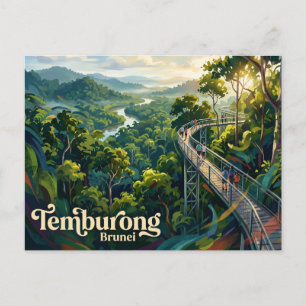 Canopy Walkway, Ulu Temburong National Park Brunei Postcard