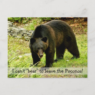Can't "Bear" to Leave Poconos Postcard