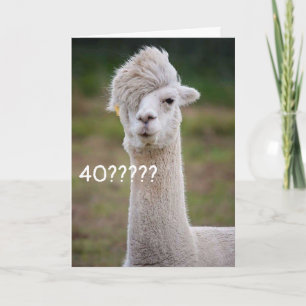 CAN'T BELIEVE YOU ARE CELEBRATING "40th" BIRTHDAY Card