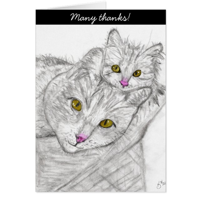 Can't Buy Love But Can Rescue It Greeting Card (Front)