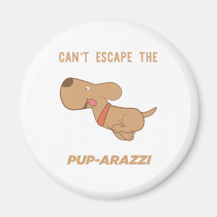 can't escape the pup-arazzi magnet
