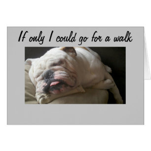 CAN'T GO FOR A WALK-TOO SAD