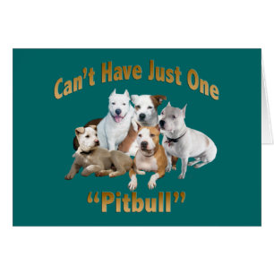 Can't Have Just One Pitbull