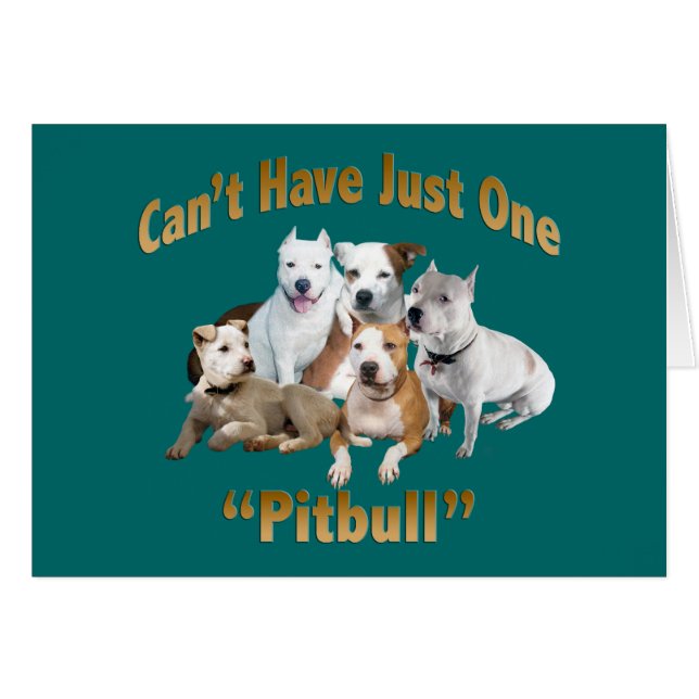 Can't Have Just One Pitbull (Front Horizontal)