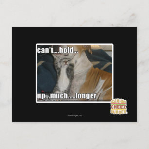 Can't Hold Up Much Longer Postcard