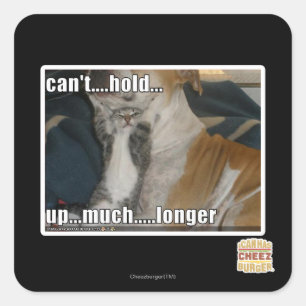 Can't Hold Up Much Longer Square Sticker