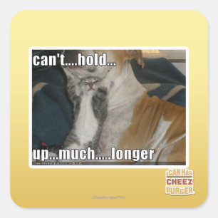 Can't Hold Up Much Longer Square Sticker