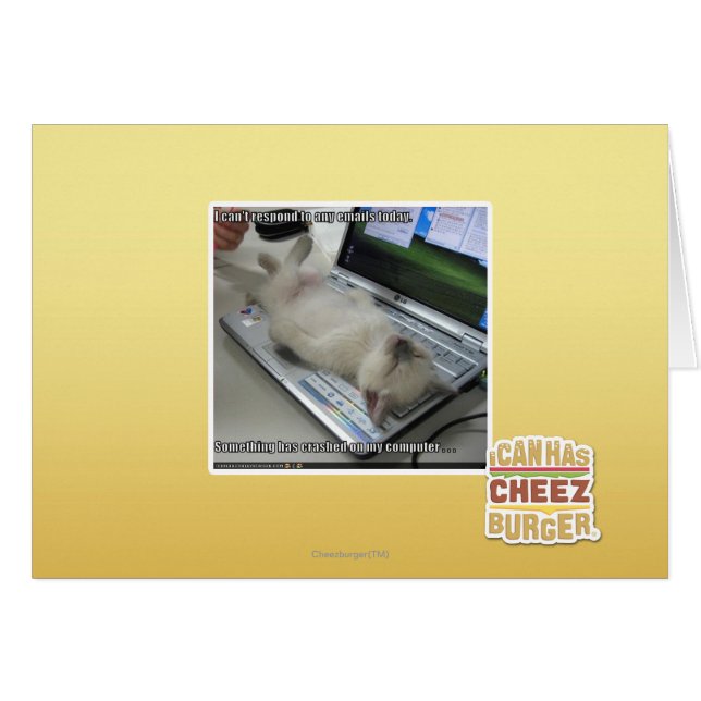 Can't respond (Front Horizontal)