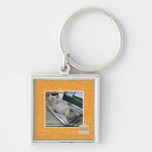 Can't respond key ring