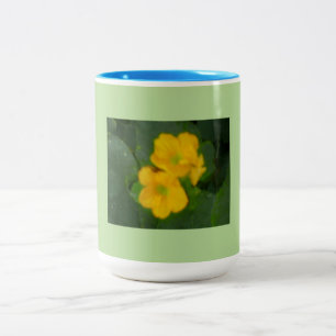 Cantaloupe Blooms Two-Tone Coffee Mug