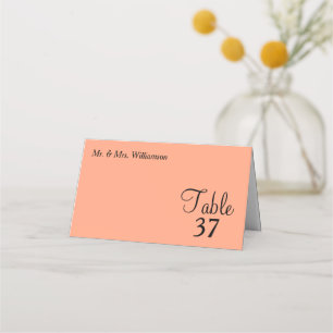 Cantaloupe Blue Wedding Table Number Place Card