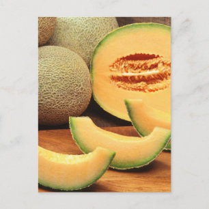 Cantaloupe Postcard