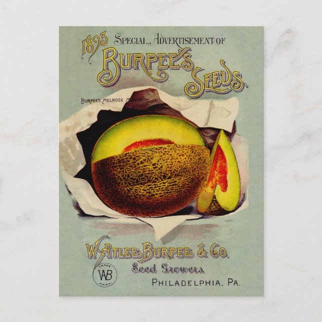 Cantaloupe Seed Advertising Art Antique Postcard (Front)