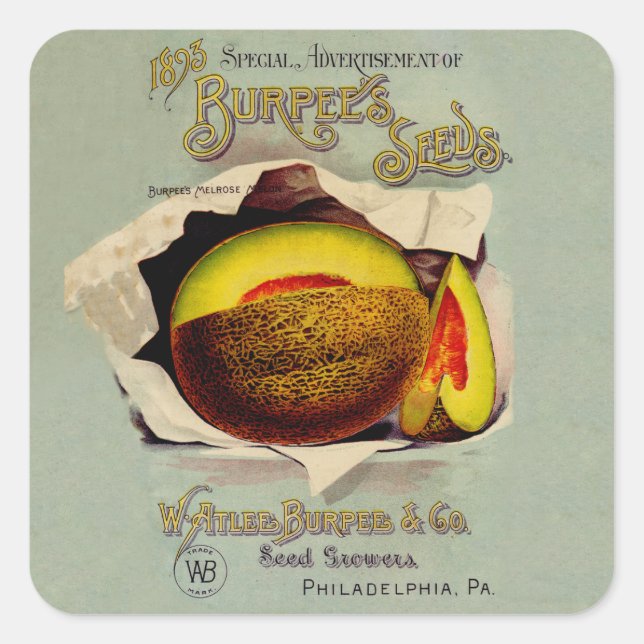 Cantaloupe Seed Advertising Art Antique Square Sticker (Front)