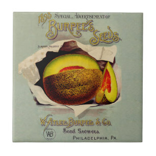 Cantaloupe Seed Advertising Art Antique Tile