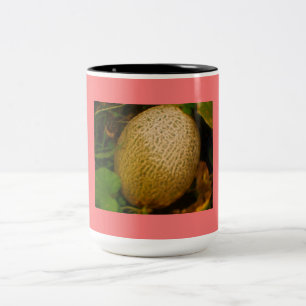 Cantaloupe Two-Tone Coffee Mug