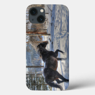 Cantering Black Percheron Horse & Snow Photo 2 iPhone 13 Case
