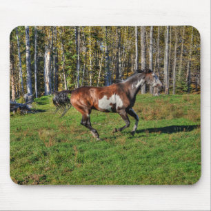 Cantering Paint Stallion & Forest Equine Photo Mouse Pad
