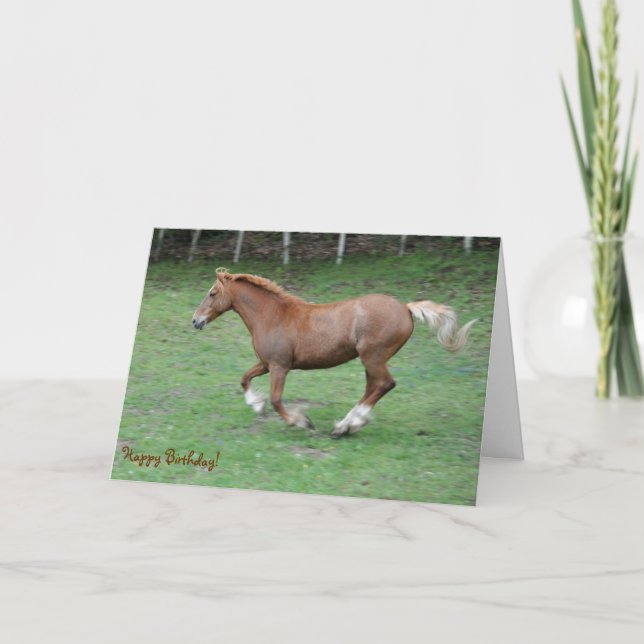 Cantering Welsh cob birthday Card (Front)