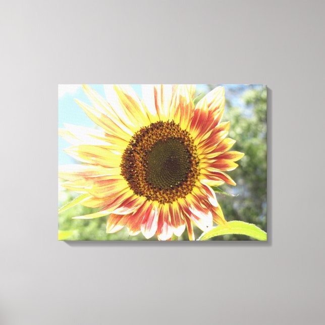 CANVAS ART (Front)