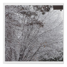 Canvas Art - Last Winter