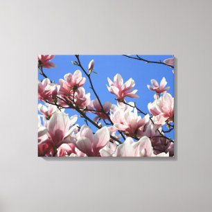 Canvas Art-Pink Magnolia Print