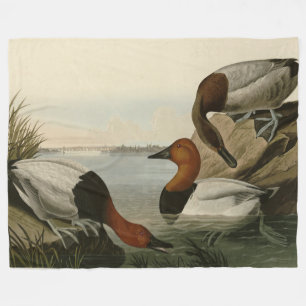 Canvas backed Duck from Audubon's Birds of America Fleece Blanket