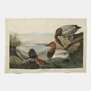 Canvas backed Duck from Audubon's Birds of America Tea Towel