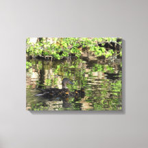 Canvas: Mallard Duck and Ducklings
