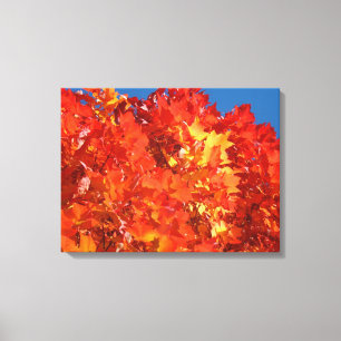 Canvas Nature Art prints Red Orange Autumn Leaves