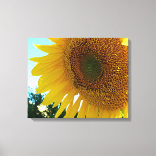Canvas print - Sunflower and bee