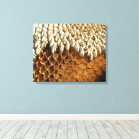Canvas Print - Sunflower Seeds