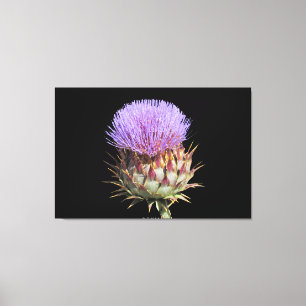 Canvas Print - Thistle