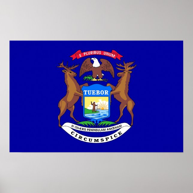 Canvas Print with Flag of Michigan, U.S.A. (Front)