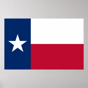 Canvas Print with Flag of Texas, U.S.A.