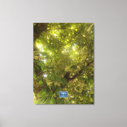 Canvas (Sun Green Tree 1) RFPMDesigns ©️2021/24 Print