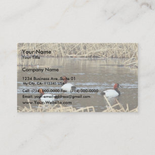 Canvasback drakes business card