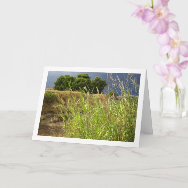 Canyon Landscape Card (Orchid)