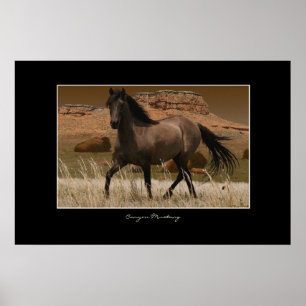 CANYON MUSTANG Horse Conservation Art Print