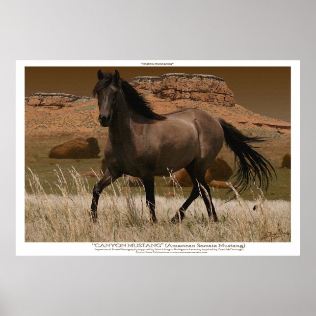 CANYON MUSTANG Horse Conservation Art Print (Front)
