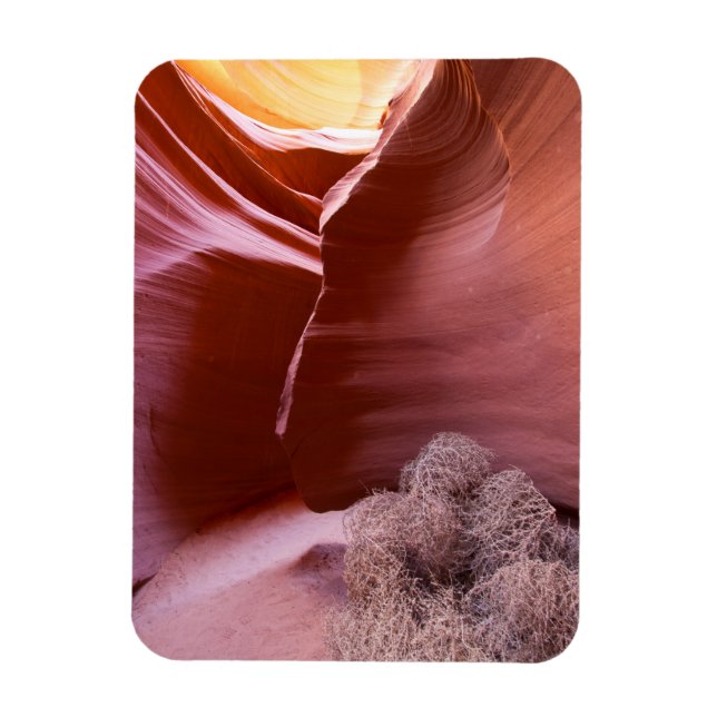 Canyon of many colours magnet (Vertical)