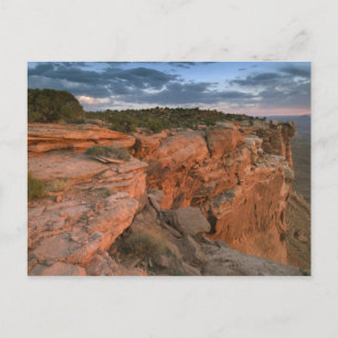 Canyon overlook in the Island in the sky Postcard