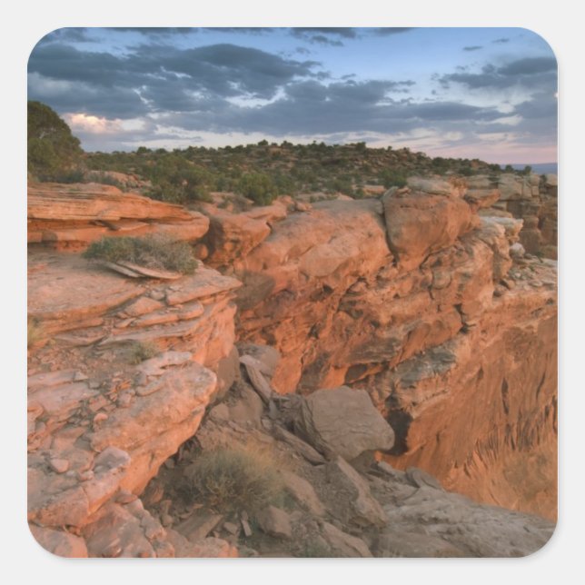 Canyon overlook in the Island in the sky Square Sticker (Front)