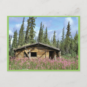 Canyon Village log cabin Postcard