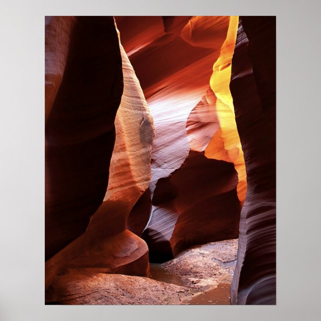 Canyon X Poster (Front)