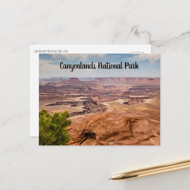 Canyonlands National Park Postcard (Front/Back In Situ)