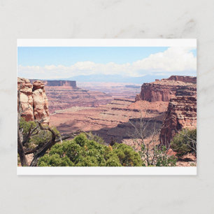 Canyonlands National Park, Utah, USA 11 Postcard