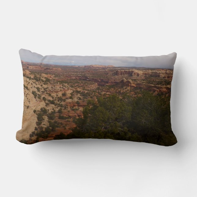Canyonlands View from Neck Springs Trail Lumbar Cushion (Front)