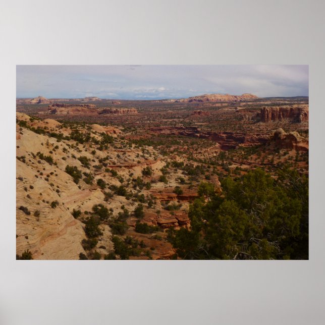 Canyonlands View from Neck Springs Trail Poster (Front)